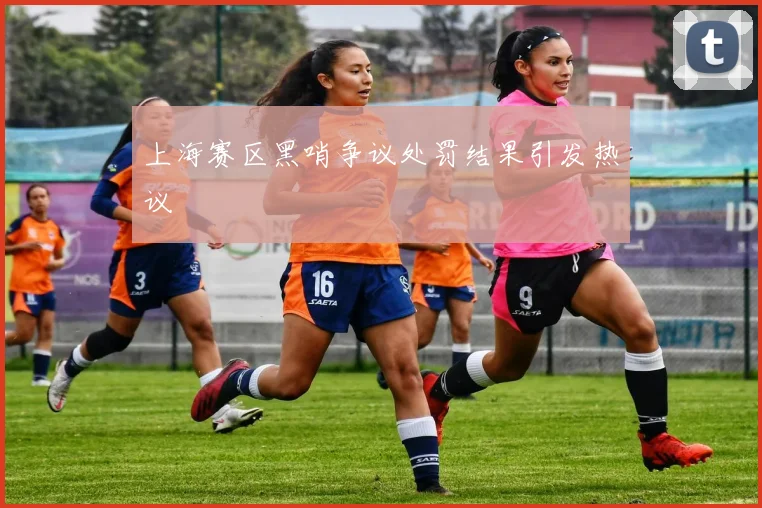 上海赛区黑哨争议处罚结果引发热议