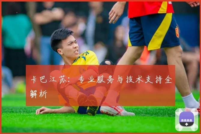 卡巴江苏：专业服务与技术支持全解析