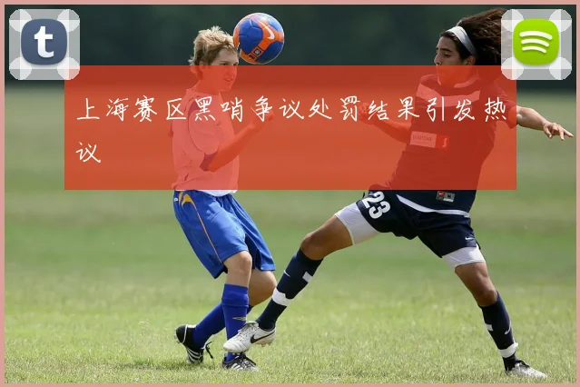 上海赛区黑哨争议处罚结果引发热议